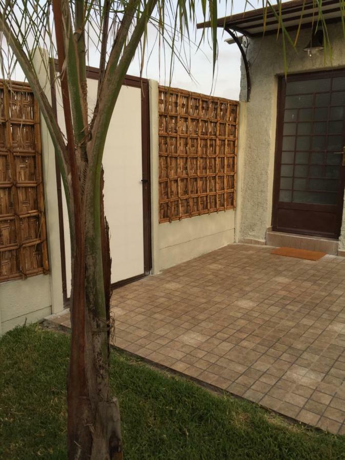 Palm Grove Farm Tit Mellil Exterior foto